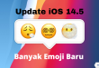 Apple update iOS 14.5 Banyak Emoji Baru