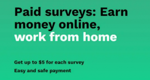 Online Survey Application